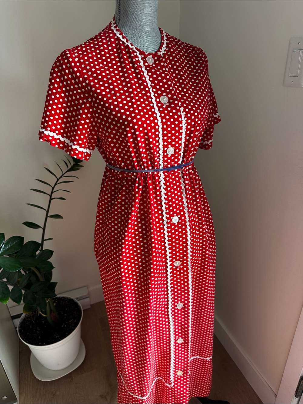 Vintage Cottage Prairie Midi/Maxi Dress sz L.  Red Polka Dot